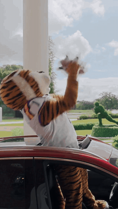 Person In Tiger Mascot Costume Sitting In Car GIF