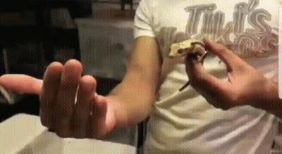 Person In Tim's Pizza Shirt Holding Pizza GIF