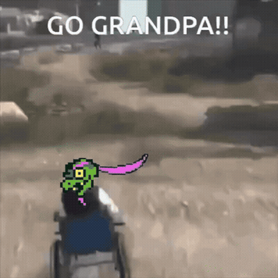 Person In Wheelchair Go Grandpa GIF
