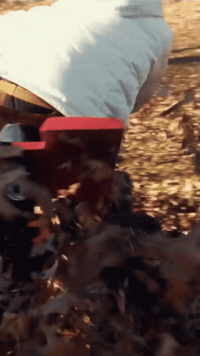 Person In White Jacket Standing In Woods GIF