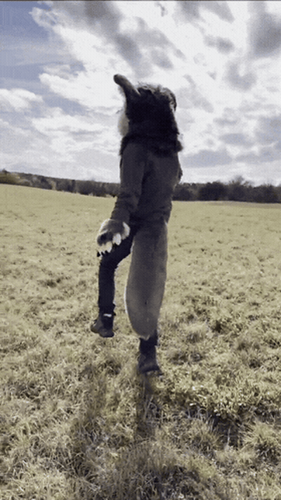 Person In Wolf Costume Standing On One Leg GIF