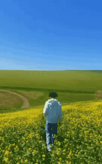 Person In Yellow Flowers With Blue Sky GIF