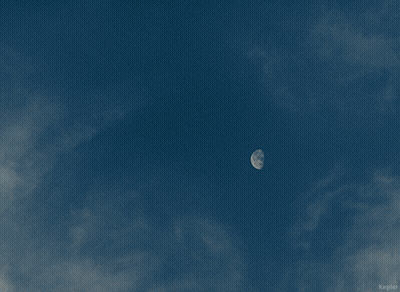 Person Jumping With Kepler GIF