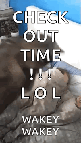 Person Laying In Bed With Check Out Time Lol Wakey Wakey GIF