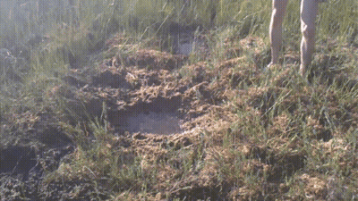 Person Laying On Back In Grass GIF