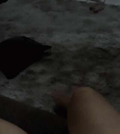 Person Laying on Bed With Feet Up
