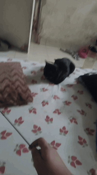 Person Laying On Bed With Floral Sheet GIF