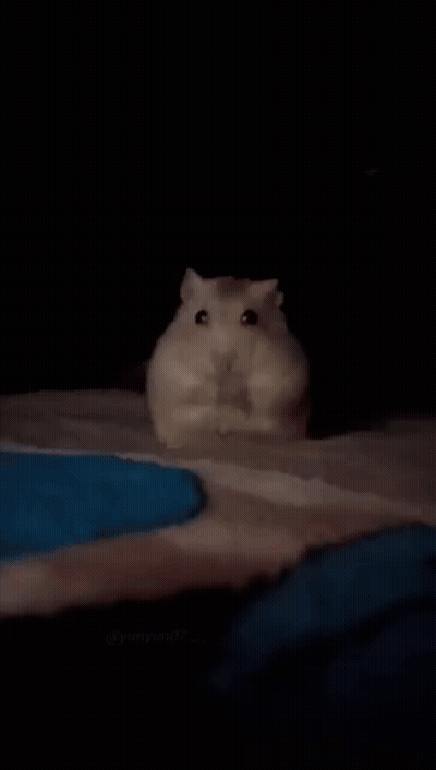 Person Laying On Bed With Star Saying It's Over GIF
