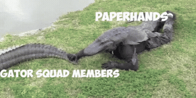 Person Laying On Grass With Crocodile Paperhands Gator Squad Members GIF