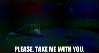 Person Laying On Ground Saying Please Take Me With You GIF