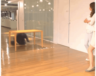 Person Laying Under Table With Sally GIF