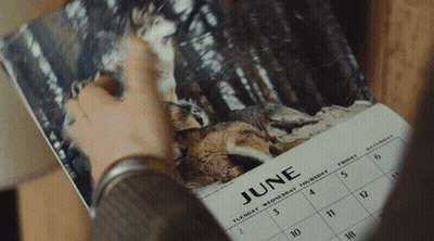 Person Looking At June Calendar GIF