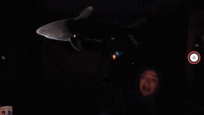 Person Looking At Shark In Darkness GIF