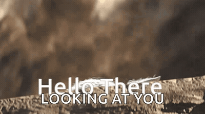 Person Looking Out Window Are You In There GIF