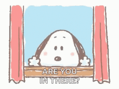 Person Looking Out Window Are You In There GIF