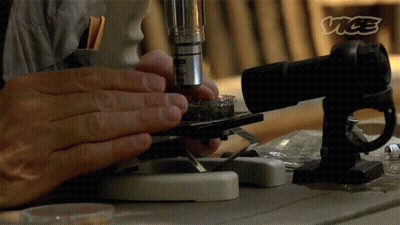 Person Looking Through Microscope With Vice Logo GIF