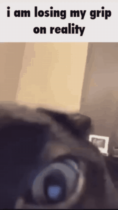 Person Losing Grip On Reality GIF