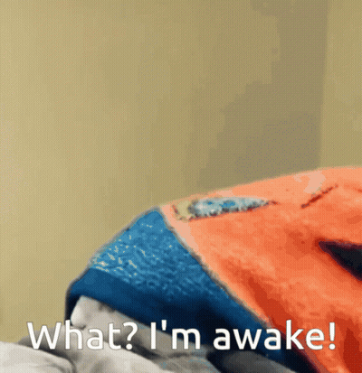 Person Lying On Bed Saying What I M Awake GIF