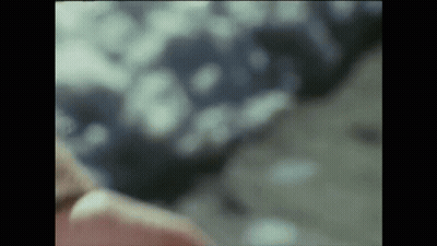 Person Lying On Bed With Blue And White Blanket GIF