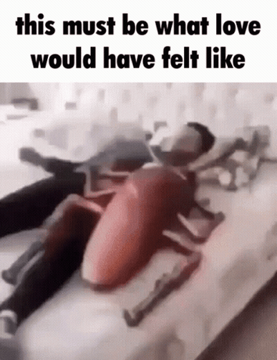 Person Lying On Bed With Cockroach Pillow GIF