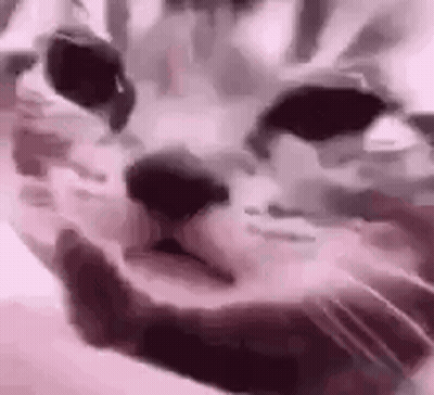 Person Lying On Bed With Pink Background GIF