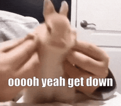 Person Lying On Bed With Rabbit On Head GIF