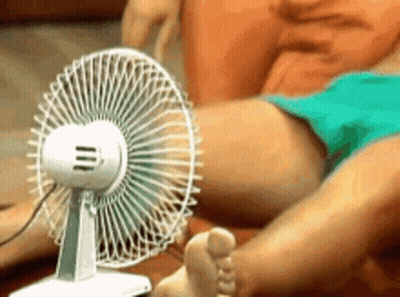 Person Lying On Couch With Feet Near Fan GIF