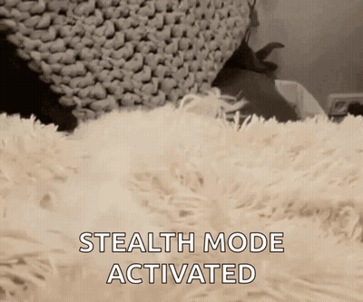 Person Lying On Fluffy Blanket With Stealth Mode Activated GIF