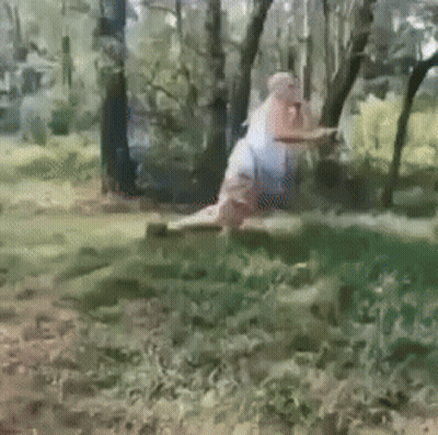 Person Lying On Ground In Woods Holding Stick GIF