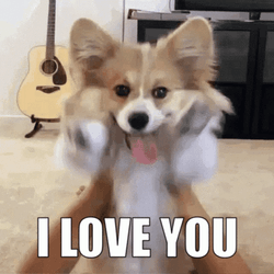 Person Making Dog Move I Love You GIF