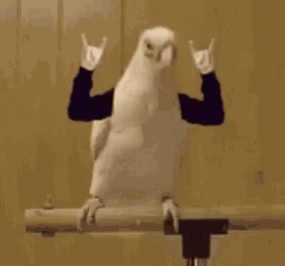 Person Making Horns Sign On Railing GIF