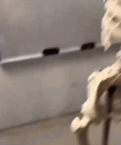 Person Making Whipped Cream In Kitchen GIF
