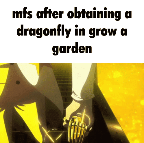 Person Obtaining Dragonfly In Garden GIF