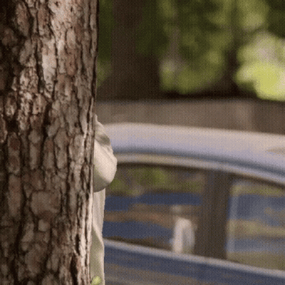 Person Peeking Behind Tree GIF
