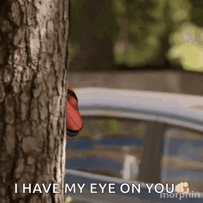 Person Peeking Behind Tree Saying I Have My Eye On You GIF