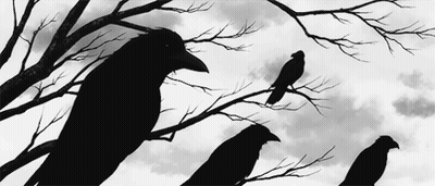Person Petting Black Bird On Tiled Floor GIF
