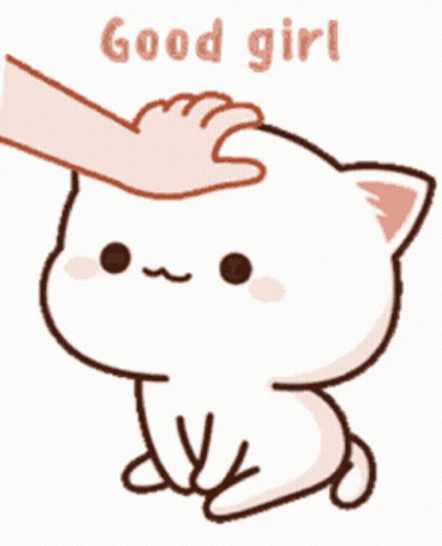 Person Petting Cat Good Girl GIF