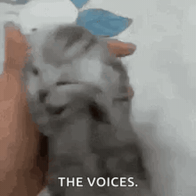 Person Petting Cat Saying The Voices GIF