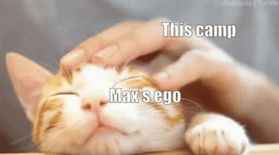 Person Petting Cat Saying This Camp Max's Ego GIF