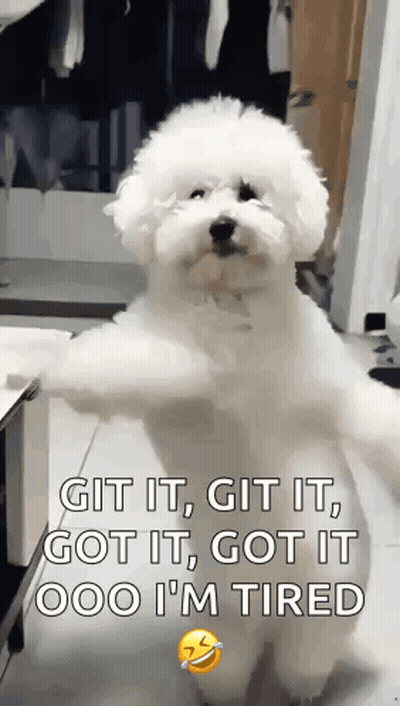 Person Petting Dog's Face GIF