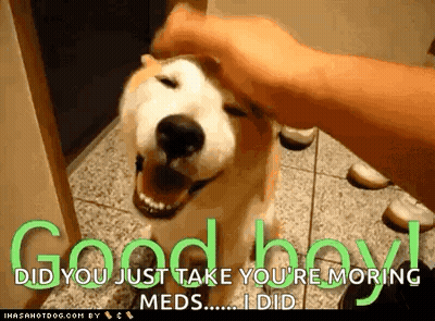 Person Petting Dog Saying Good Boy GIF