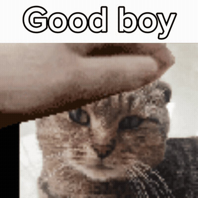 Person Petting Dog Saying Whos My Good Little Republican Good Boy GIF