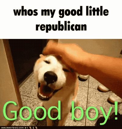 Person Petting Dog Saying Whos My Good Little Republican Good Boy GIF