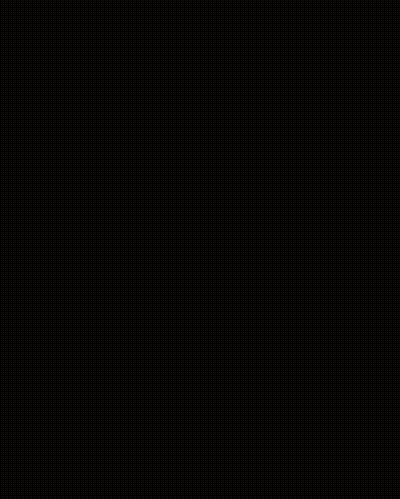 Person Petting Fat Cat's Belly GIF