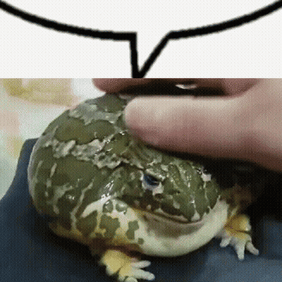 Person Petting Frog With Speech Bubble GIF