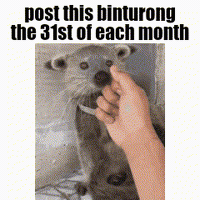 Person Petting Otter Saying Post This Binturong The 31St Of Each Month GIF
