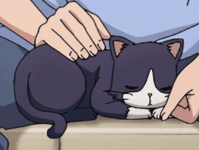 Person Petting Sad Black And White Cat GIF