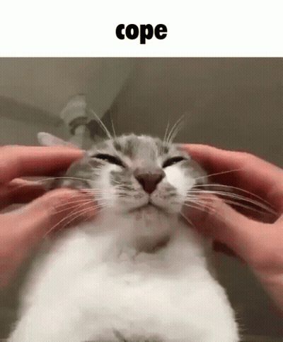 Person Petting Smiling Cat GIF