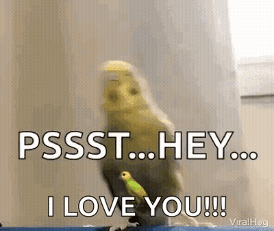 Person Petting Stuffed Animal On Polka Dot Bed GIF