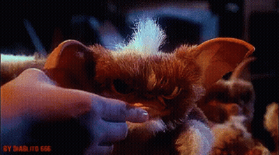 Person Petting Stuffed Animal GIF